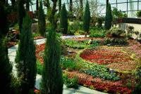 Foto van de tuin