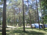Bomen op de Camping Du Bas-Meygnaud! Een zeer groene, zeer fijne camping.
