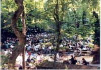 De biertuin (beergarten) in Augustiner Keller