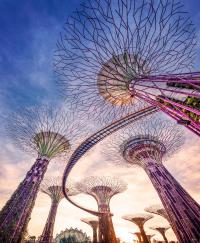 Foto van Supertree Grove in Singapore